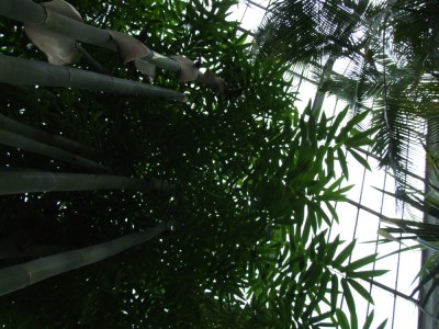 DSCF2964.JPG