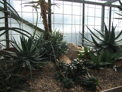 DSCF2958.JPG