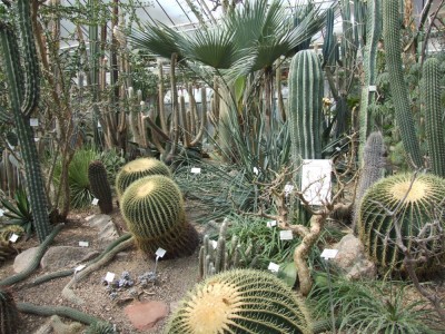 DSCF2957.JPG