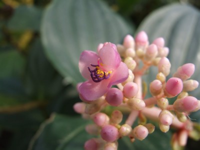DSCF2971.JPG