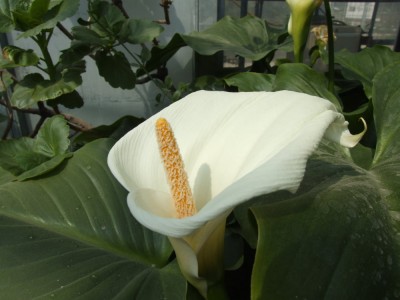 DSCF2969.JPG