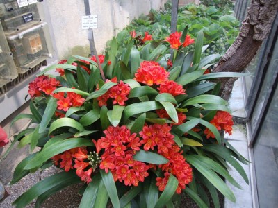 DSCF2968.JPG