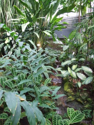 DSCF2966.JPG