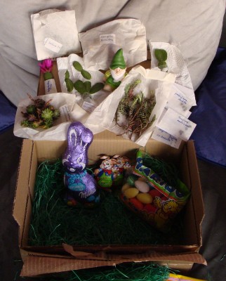 ausgepackt.jpg