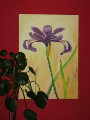 BildIris.jpg