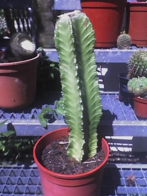 21-05-07_1217.jpg