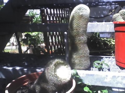 21-05-07_1215.jpg