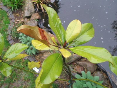 DSCF1264.JPG