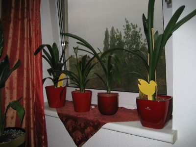 fensterbrett links.jpg