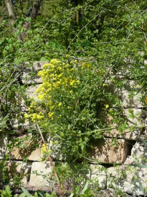 2009-04-14 065.jpg
