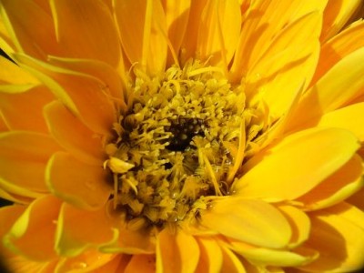 DSCF0702.JPG