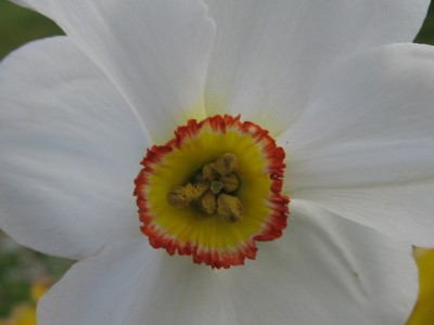 IMG_5257.JPG