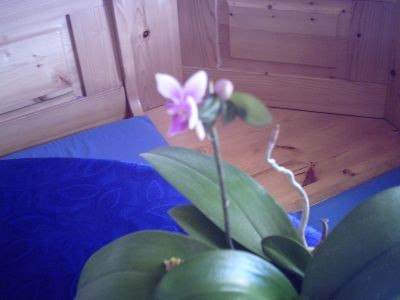 PICT0582.jpg