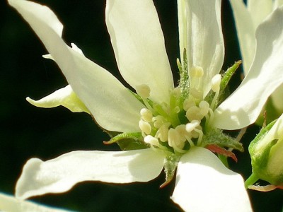 RSCN35950001.JPG