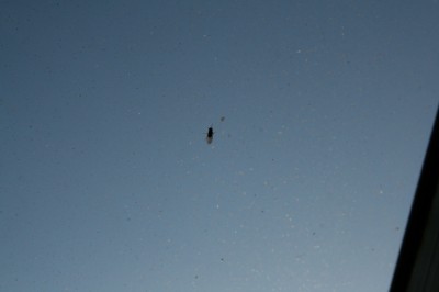 IMG_2939.JPG