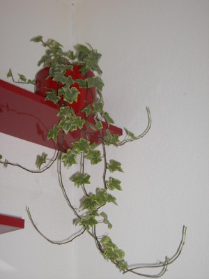 PICT4565.JPG