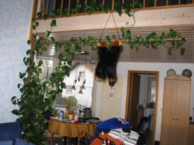 20090420_efeutute_002.jpg