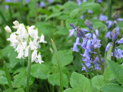 01IMG_1797.jpg
