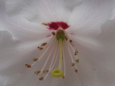 IMG_5050.JPG