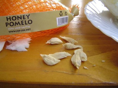 Pomelo.JPG