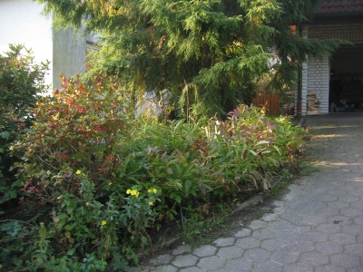 Garten 029.jpg