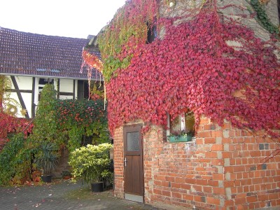 Herbst in Hessen 2.jpg