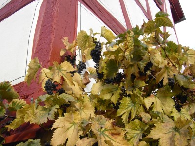 Herbst in Hessen 1.jpg