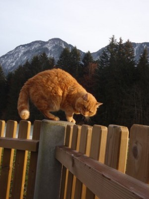 gina mit hausberg pölven1.jpg