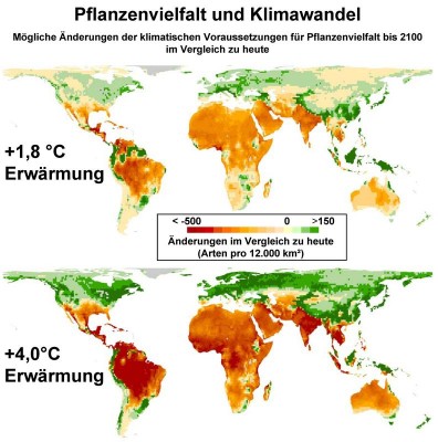 Klimawandel-Pflanzen.jpg