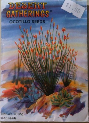 ocotillo_seeds_front.jpg