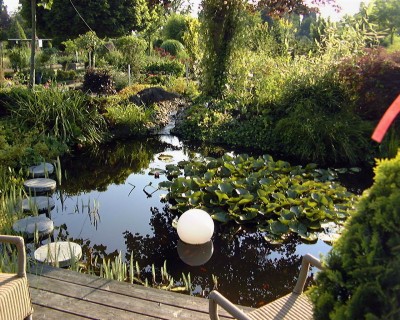 Teich im Sommer 2004.jpg
