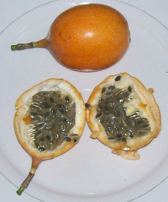Passiflora ligularis, Granadilla.jpg