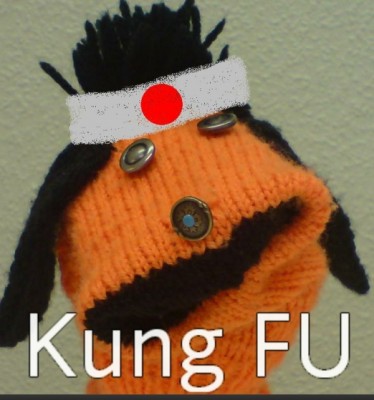 kung fu.jpg