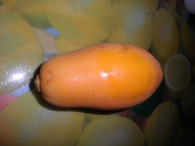 papaya.jpg