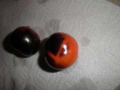 tomate 3.jpg