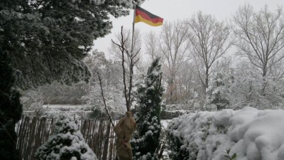 Feigenbaum im Schnee.jpg