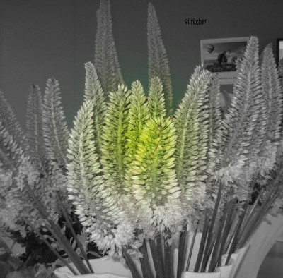 Floriade-2012-016.jpg