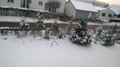 Winter (7).jpg