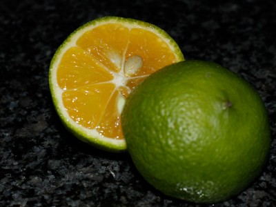 170107_citrus_limonia_rangpur_frucht.jpg