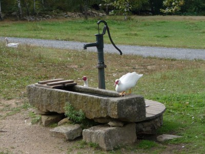 Brunnen1.jpg