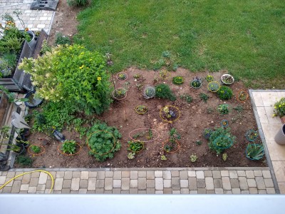 Garten August 2020.jpg