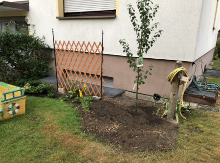 Neugestaltung kleiner Garten