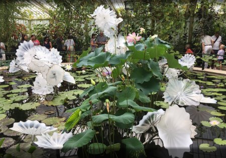 Königliche Botanische Gärten, Kew, London