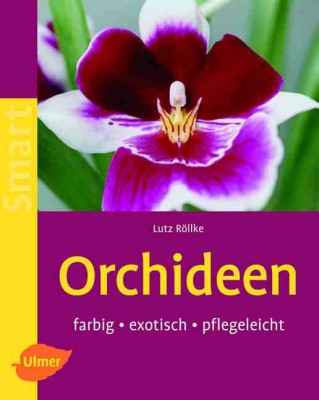 orchideen.JPG