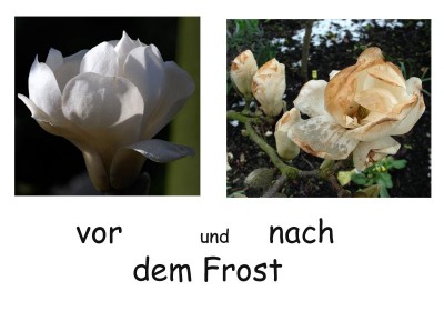 Vor - nach.jpg