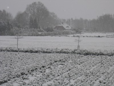 Ostern 2008 Schnee 017.jpg