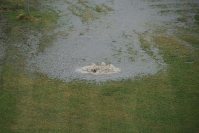 gewitter6.jpg