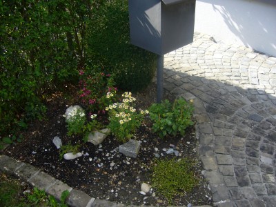 garten 004.jpg