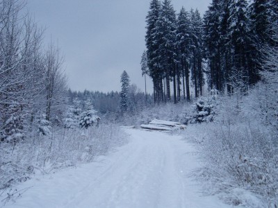 Winterwonderland.JPG