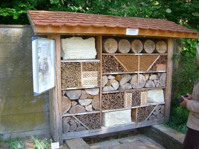 Insektenhaus.jpg